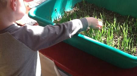ECS child exploring grass growing in a container